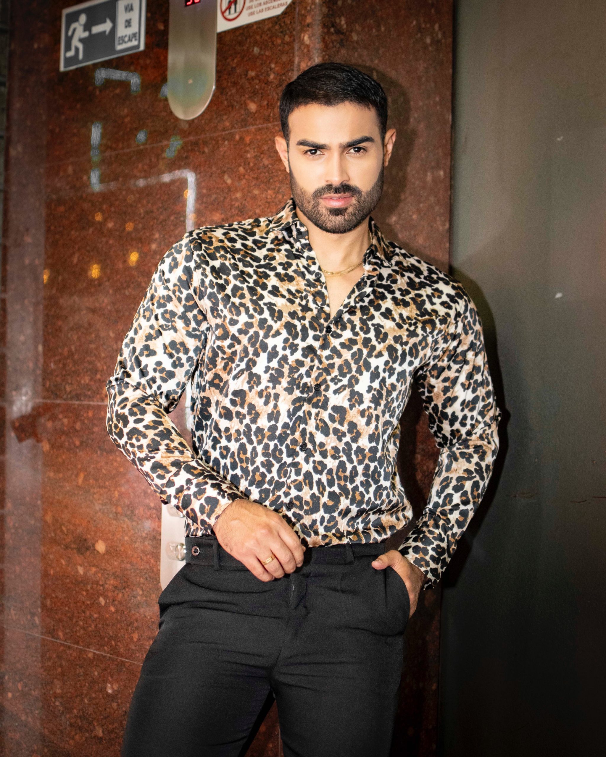 Camisa Animal Print Manga Larga - Imagen 2